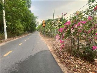 785m2 đất an điền , bến cát ngay khu dân cư 3/2 , gần đường dt748  giá 3 tỷ 250