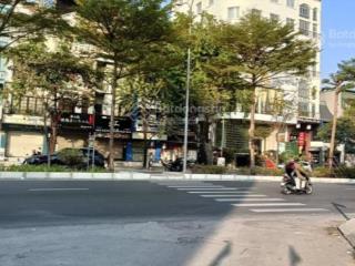 Phố đào tấn trung tâm ba đìnhđống đacầu giấy 95m2