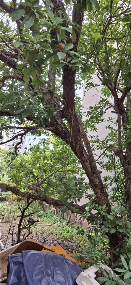 Hiếm! đất liên mạc, 32m2, vài bước chân ra ô tô tải tránh nhau,gần trường học các cấp,ngay ủy ban