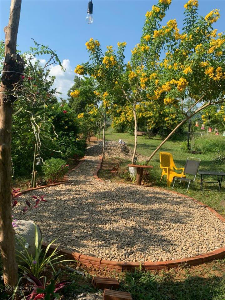 Cần chuyển nhượng toàn bộ khu farm sinh thái diện tích 3,5 ha