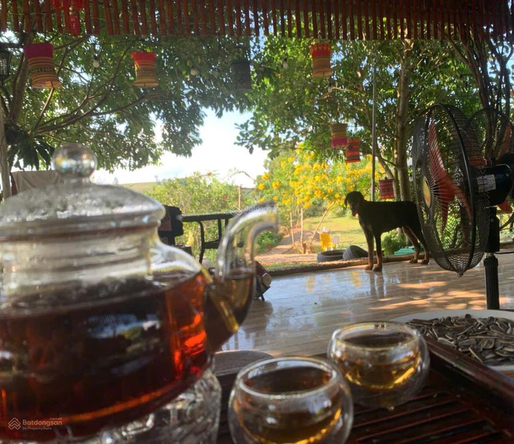 Cần chuyển nhượng toàn bộ khu farm sinh thái diện tích 3,5 ha