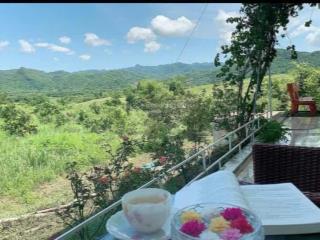 Cần chuyển nhượng toàn bộ khu farm sinh thái diện tích 3,5 ha