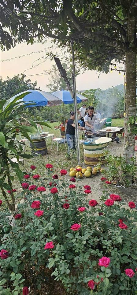 Cần chuyển nhượng toàn bộ khu farm sinh thái diện tích 3,5 ha