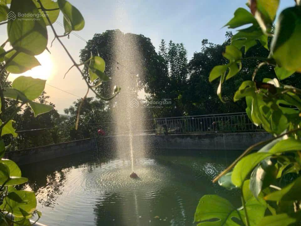 Cần chuyển nhượng toàn bộ khu farm sinh thái diện tích 3,5 ha