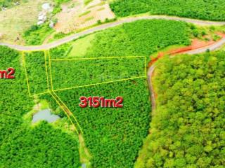 Bán đất dt 1131m2 tại đt 725, thôn 5, xã b'lá, bảo lâm, lâm đồng, 1,25 tỷ