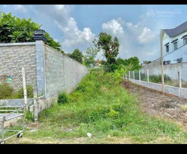 Bán đất 900tr mặt tiền đường nhựa cây trôm mỹ khánh, xã thái mỹ. dt 105m2, sổ hồng riêng