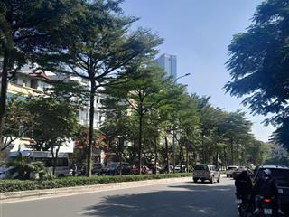 Bán nhà mặt phố liễu giai, 132 tỷ, 100m2, view đẹp, giá tốt