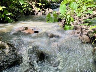 MẢNH VƯỜN VIEW HỒ TRỊ AN - GẦN SÂN BAY LONG THÀNH - GIÁ BÁN CHƯA ĐẾN 1 TỶ TẠI THỐNG NHẤT.