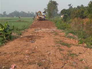Bán đất lúa  phường bình khánh cũ  tp long xuyen  an giang