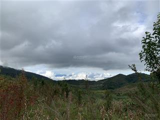 Bán đất dt 5000m2 tại đt 158, xã y tý, bát xát, lào c, giá 3,2 tỷ