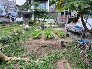 Cần bán gấp đất ở đô thị(cát bà), đặc khu cát hải, hải phòng