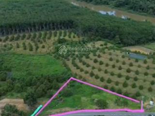 Bán đất mặt tiền đường nhựa 1.278m², ngang 65m, view đẹp xã đạ kho 2, h. đạ tẻh, lâm đồng