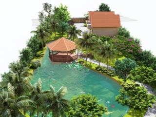 Cần bán trang trại trồng tre, tràm, nuôi bò dê đều tốt