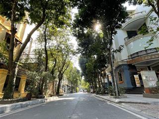 Bán biệt thự 140m2 nam từ liêm đường rộng, ở ngay giá tốt 44 tỷ , pháp lý chuẩn, hiếm.