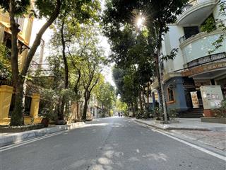 Bán siêu biệt thự lô góc 160m2 khẳng định vị thế đẳng cấp của chủ nhân trung tâm nam từ liêm