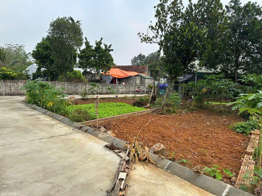 Bán đất cổ đông, 2,4 tỷ, 61m2, pháp lý đầy đủ, mặt tiền 4.8m