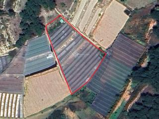 Đất vườn nông nghiệp có nhà lồng