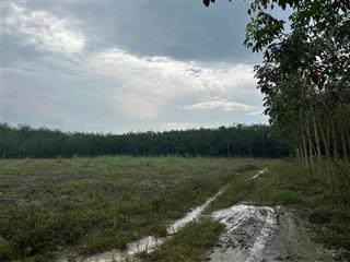 Bán lô đất thổ vườn tại dầu tiếng 40*40 đất vuông vức giá bán 870tr còn thương lượng