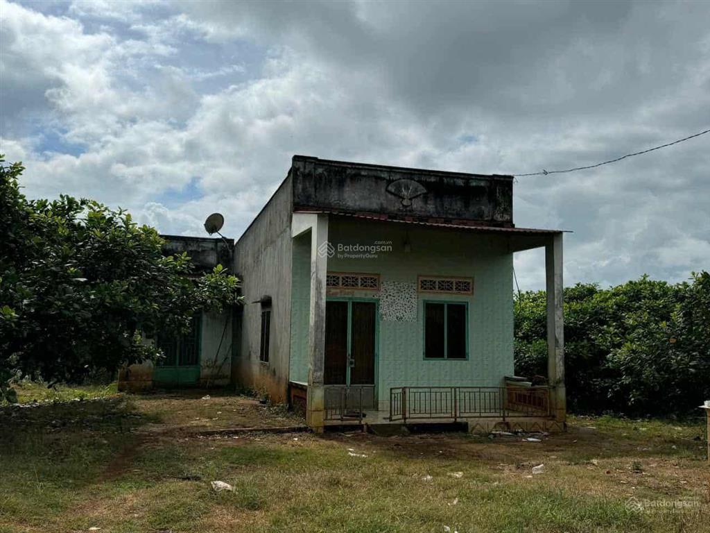 Bán đất nhà vườn 3500m2 (65*52m) sẵn 300m2 tc, shr 780tr, bình phước