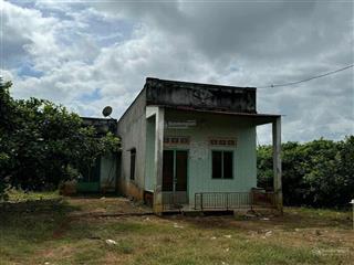 Bán đất nhà vườn 3500m2 (65*52m) sẵn 300m2 tc, shr 780tr, bình phước