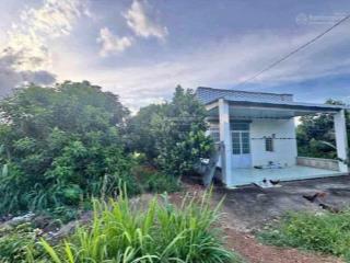 Cần tiền bán gấp nhà vườn gần 7000m2 sẵn 100m2 tc, giá bán nhanh 220tr shr bình phước