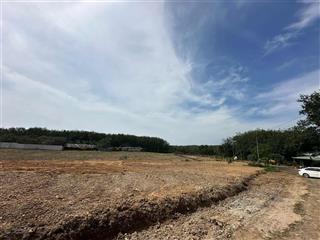 1300m2 (20x67m) sẵn 400m2 tc, 410tr shr ql 14 vào 2p, xã đồng tâm, bình phước