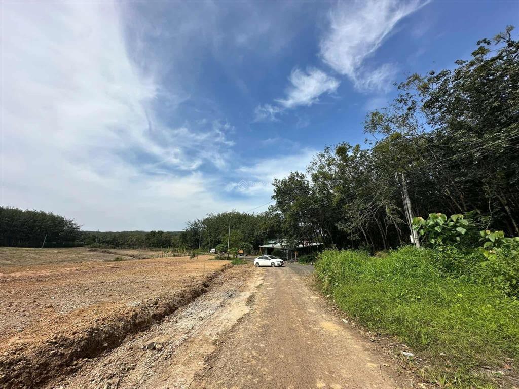 1300m2 (20x67m) sẵn 400m2 tc, 410tr shr ql 14 vào 2p, xã đồng tâm, bình phước