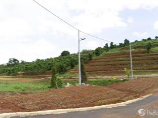 Không chỉ là đất, đây là lựa chọn phong cách sống xanh chuẩn bảo lâm