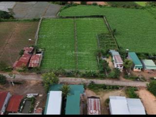 7 nền dran ra mắt đường bê tông thông rộng rãi sẵn thổ cư diện tích đủ rộng view đủ xinh vị tr