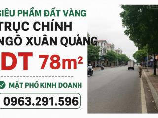 Chính chủ bán đất kinh doanh mặt phố ngô xuân quảng vị trí trung tâm quận gia lâm .0963 291 ***