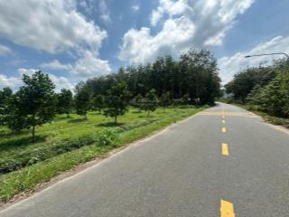 Chủ gửi lô đất thổ cư mặt tiền đường liên huyện dh519 tại phước thành tphcm