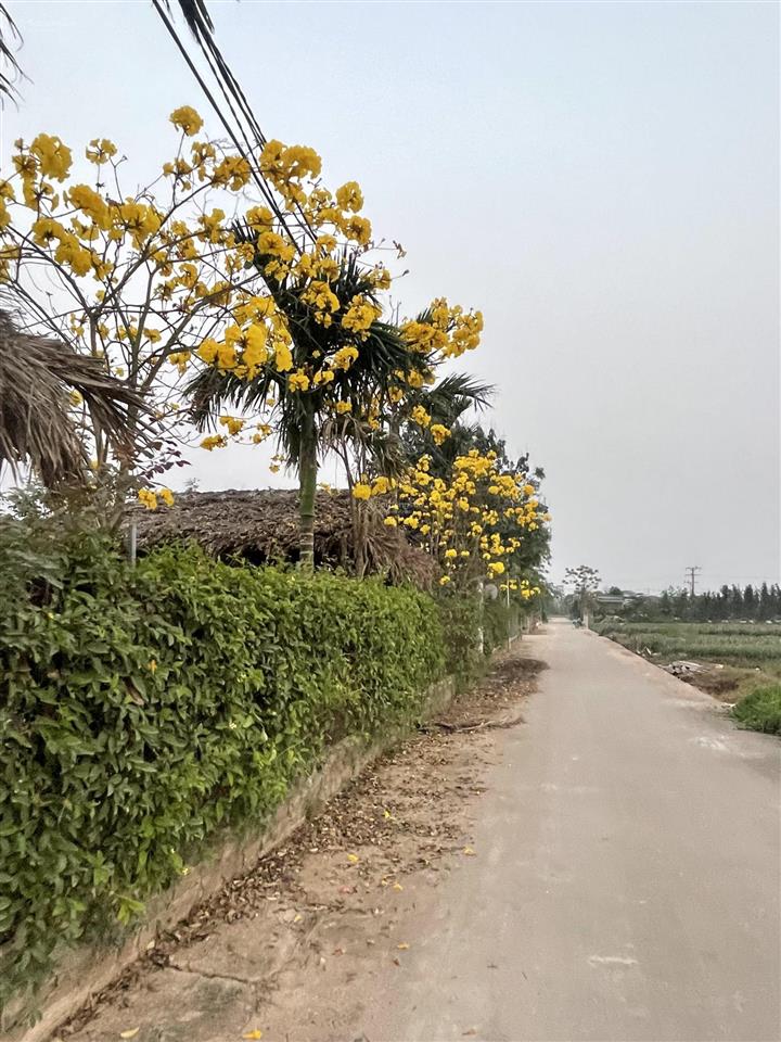 Bán nhà vườn hồng vân, thường tín, hà nội