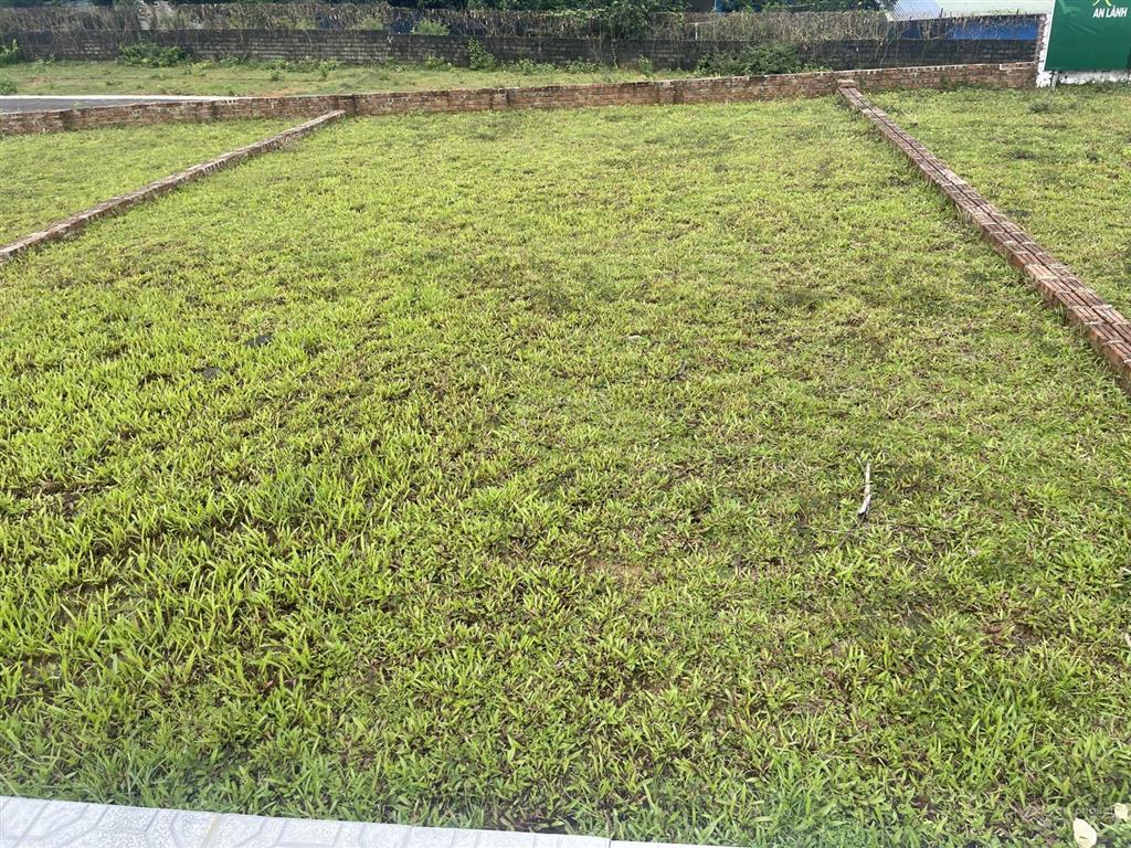 Gia đình e có duy nhất 1lô đất tại phú cát chỉ nhỉ 3tỷ có 109m vị trí đẹp cần bán gấp!