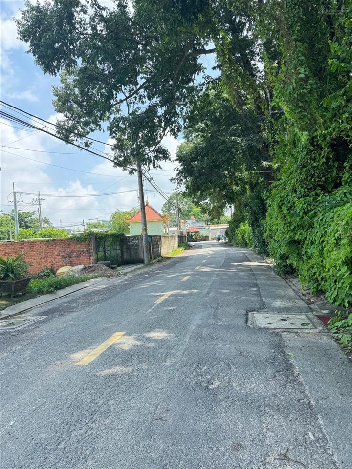 Chủ ngộp bank bán đất mt đ. lê lợi, xã tân hiệp, hóc môn. dt 104m2, shr, khu dân cư đông