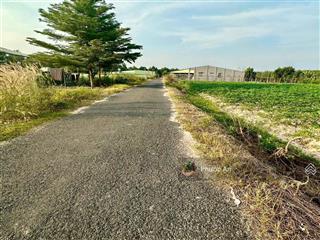 Đất rộng 800m2 tại đ an bình, xã an tịnh, trảng bàng, tây ninh. hỗ trợ lên thổ cư. giá 600 triệu