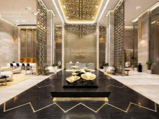 Mbkd trung tâm ba đình  view hồ trúc bạch + hồ tây cực chill