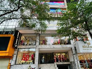 Nhà mặt phố đào tấn mt đẹp hơn 10m  dt hơn 60m2x4t  đoạn đẹp, kinh doanh sầm uất