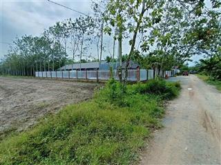 Bán đất bao đẹp 1404m2 tại xã đôn thuận, trảng bàng, tây ninh, giá 1,2 tỷ