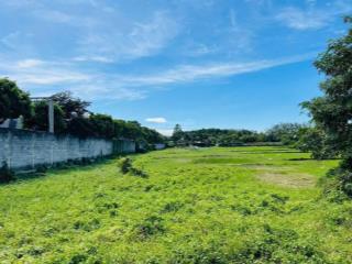 Bán đất x. an nhơn tây, shr gần đường tỉnh lộ 7, dt gần 1.600m2 có 215m2 tc. giá chỉ có 1 tỷ 2