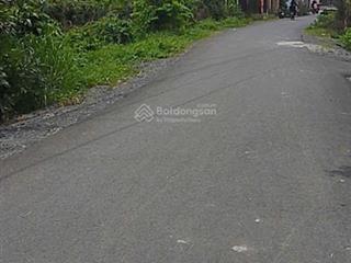 Bán đất trong cay lau nam đẹp tại củ chi