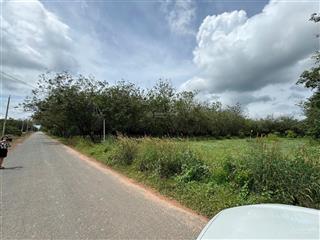 Cần bán đất mặt tiền tại xã tân thành, huyện châu thành, tỉnh tây ninh  giá 45tr/m ngang