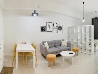 Căn hộ studio 45m2 richlane residence  sát vivo city, quận 7
