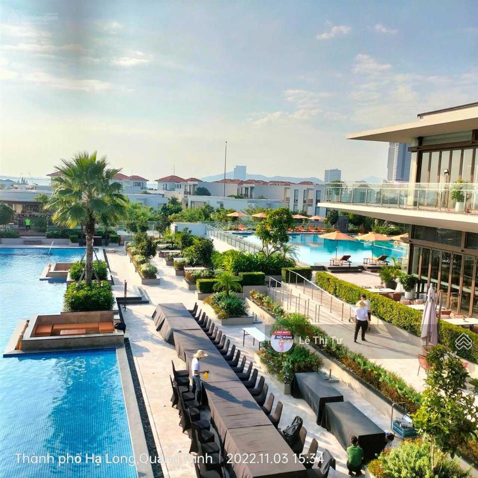 Bán gấp bt sun premier village hạ long 445m2 sổ lâu dài nhận ngay cam kết 2,4 tỷ/năm giá từ 40,x tỷ