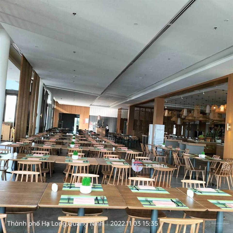Bán gấp bt sun premier village hạ long 445m2 sổ lâu dài nhận ngay cam kết 2,4 tỷ/năm giá từ 40,x tỷ