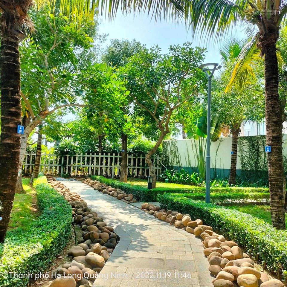 Bán gấp shophouse 5 tầng dự án sun hạ hong sổ lâu dài 116,2m2 12,xtỷ, giá bao rẻ nhất thị trường