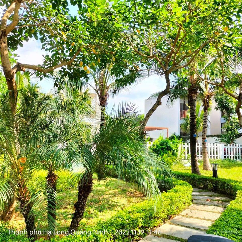 Bán gấp shophouse 5 tầng dự án sun hạ hong sổ lâu dài 116,2m2 12,xtỷ, giá bao rẻ nhất thị trường