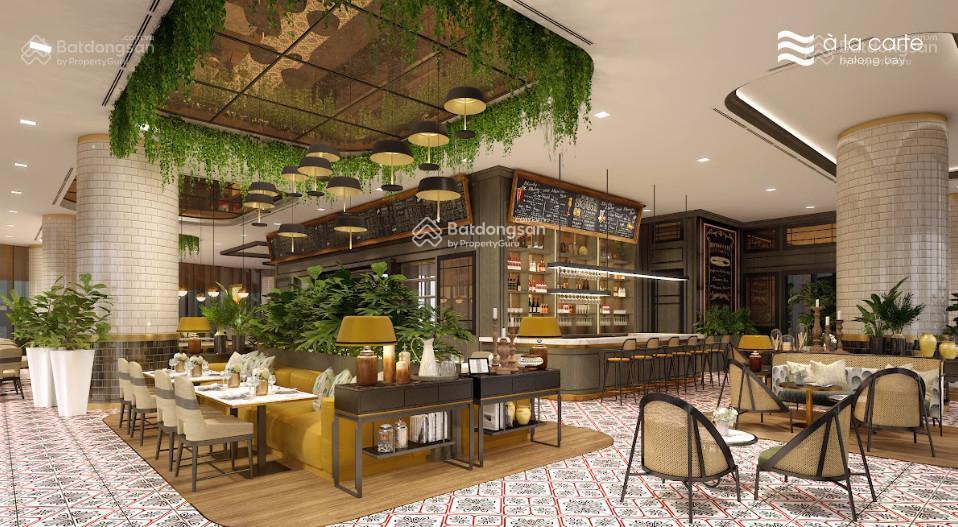 Bán gấp căn tòa a dt 56m2 da a la carte hạ long, giá 2,6 tỷ siêu rẻ nhất thị trường, sổ trao tay