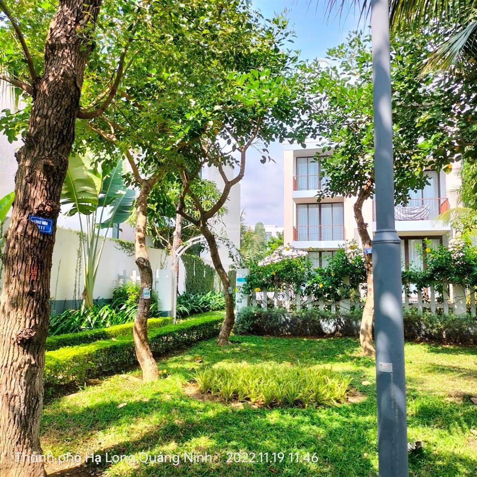 Bán gấp bt 445m2 full nội thất giá 35,x tỷ sun premier village hạ long, sổ đỏ lâu dài trao tay