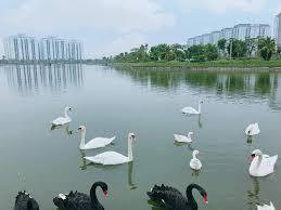 Bán bt tại thanh hà mường thanh, 21 tỷ, 200m2, 4 tầng, mặt tiền 10m