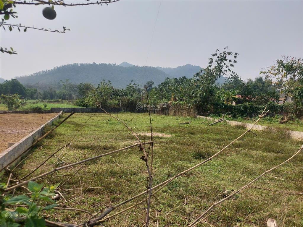 Bán đất 206m2 , thổ cư 150 m mặt tiền rộng 10 m tại yên bài, ba vì, hà nội, giá thỏa thuận